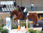 ROMANO LAS VEGAS CampITA2013- S5 0663 : Campionati Italiani 2013, Cattolica, Horse Riviera Resort, LAS VEGAS, ROMANO ROMINA, foto di Stefano Secchi ©